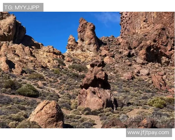 大加那利与特内里费比赛是否取消最新消息及原因分析 大加那利与特内里费比赛是否取消最新消息及原因分析