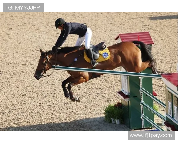 全运会丨马术——场所妨碍个人赛决赛赛况(3) 全运会丨马术——场所妨碍个人赛决赛赛况(3)